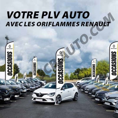  Drapeaux Renault Beach Pavillons Flags Vo Plumes Vo Plv Auto Renault