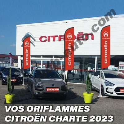  Drapeaux Citroën Beach Pavillons Flags Vo Plumes Vo Plv Auto Citroën 2024