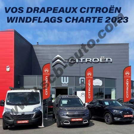  Drapeaux Citroën Beach Pavillons Flags Vo Plumes Vo Plv Auto Citroën 2024